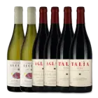 Tenuta di Aglaea, Etna-smagekasse m. 6 flasker