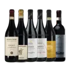 Piemonte-kassen: "High-end" smagekasse med 6 forskellige af de store B'er (2 flasker Barbaresco, 4 flasker Barolo)