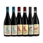 Prà temakasse m. 6 flasker fra Valpolicella