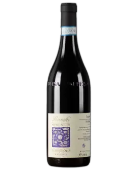 Ronchi, Langhe Nebbiolo D.O.C. "In Amphoris" 2023