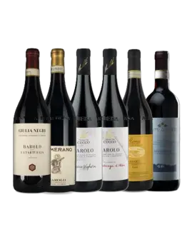 Piemonte-kassen: "High-end" smagekasse med 6 forskellige af de store B'er (2 flasker Barbaresco, 4 flasker Barolo)